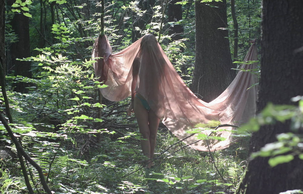 影絵劇場
 #106723058