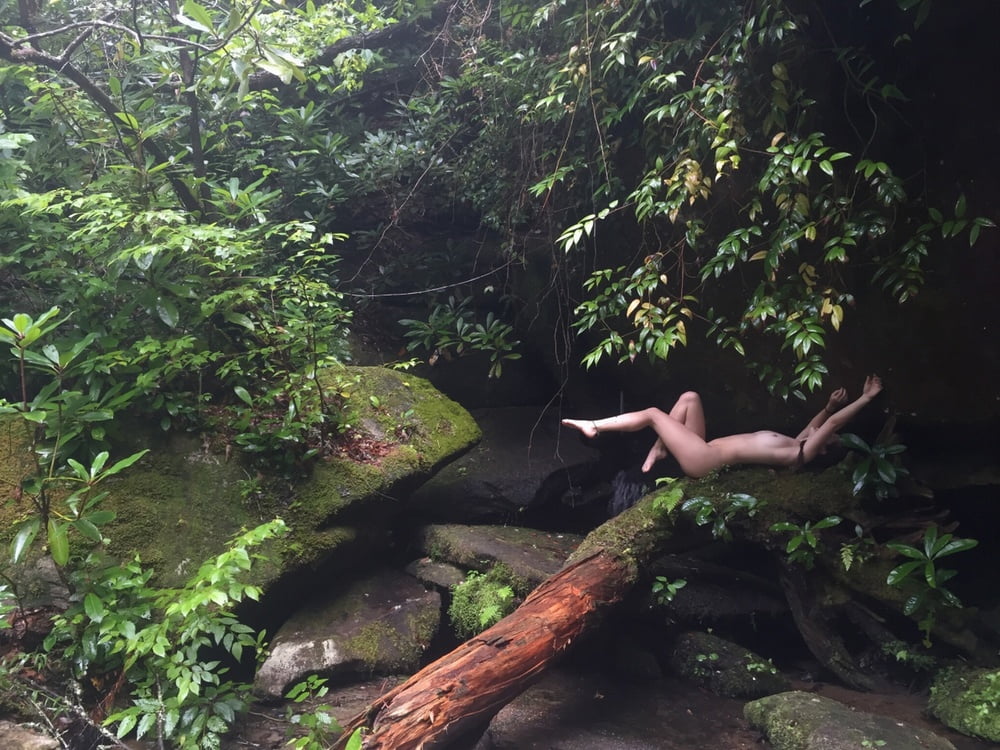 Tree Huggers 394 #79704513