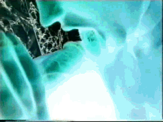 素敵な女性たちの甘いセックス
 #102432203