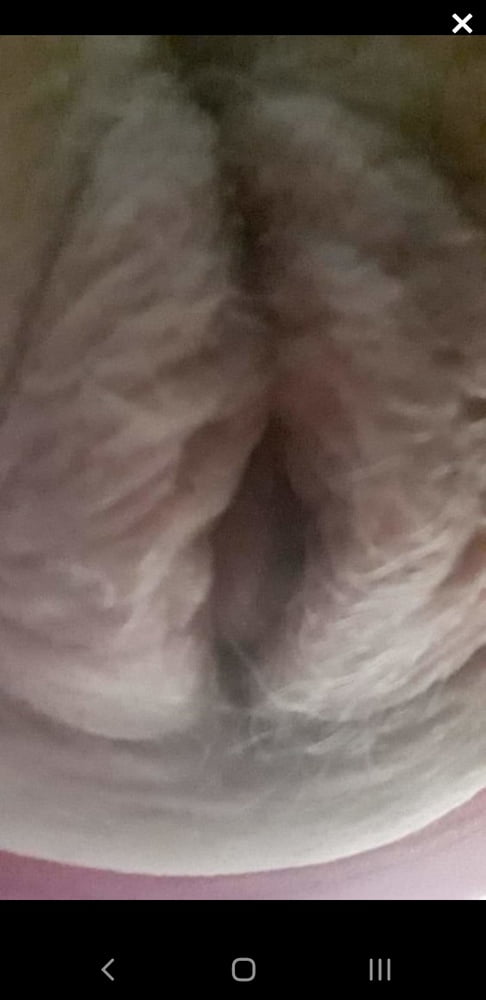 Bucetudas
 #91116375