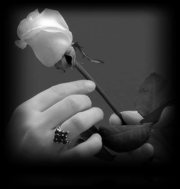 bianco e nero #94898801