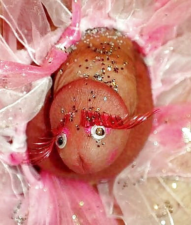 Humorvolle Erotik - nur Bild (kein Text)
 #89579018