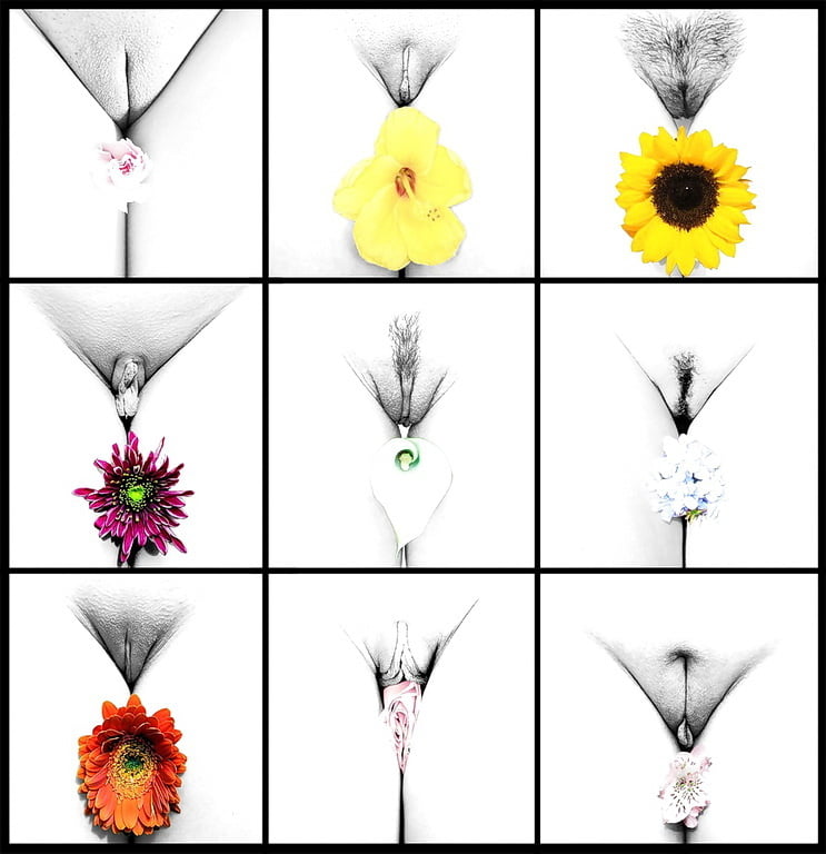 Humorvolle Erotik - nur Bild (kein Text)
 #89579049