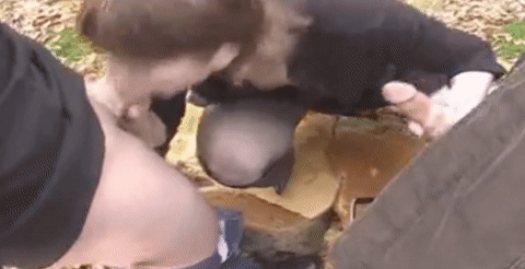 Daddys girls
 #89291025