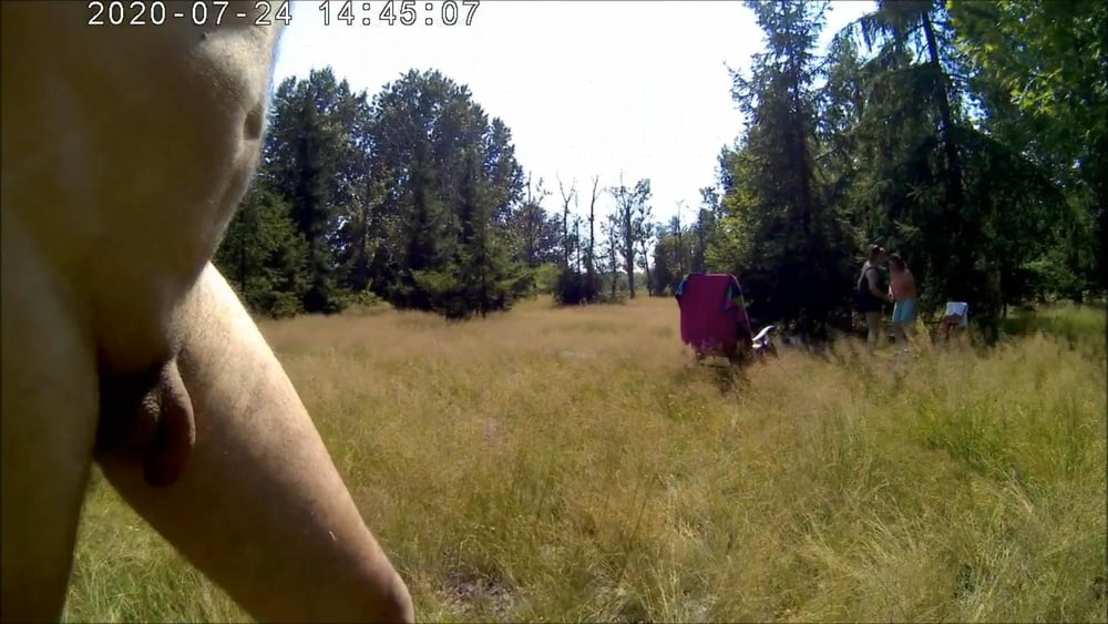 Laka hubertus
 #88708676