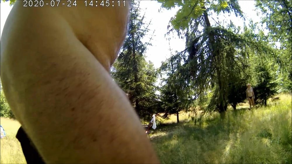 Laka hubertus
 #88708698