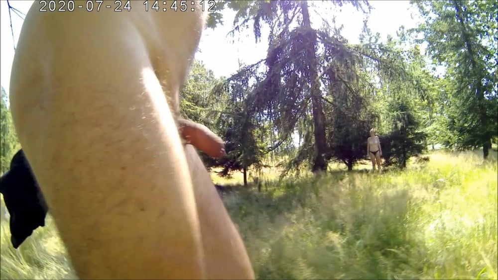 Laka hubertus
 #88708701