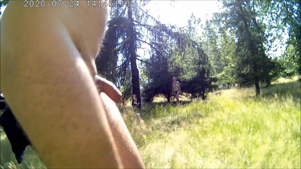 Laka hubertus
 #88708710