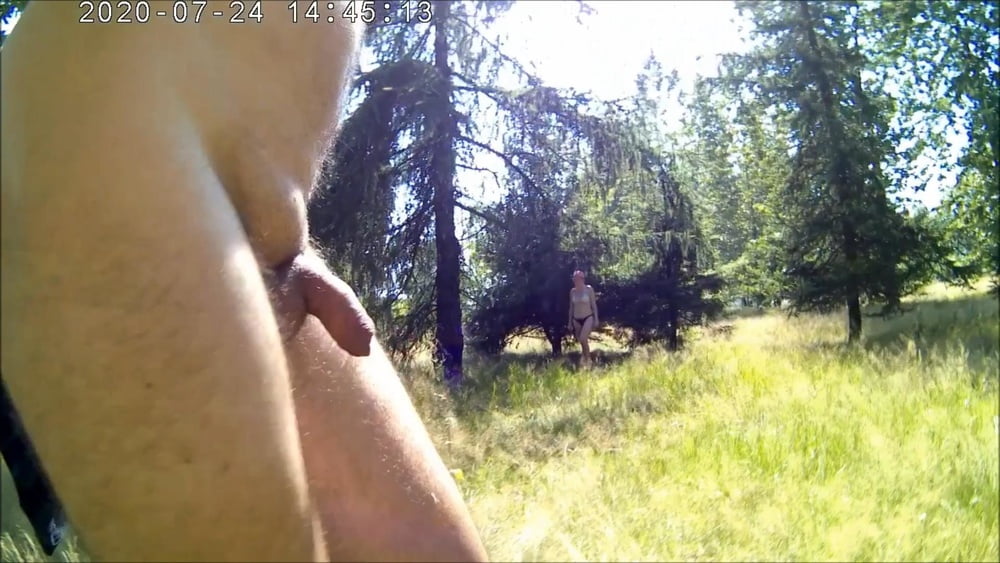 Laka hubertus
 #88708713