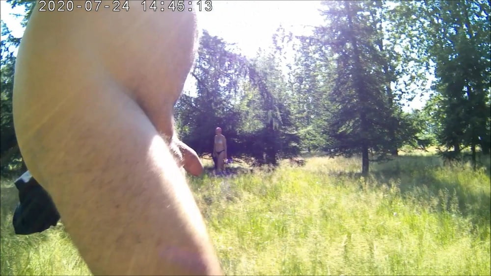 Laka hubertus
 #88708722