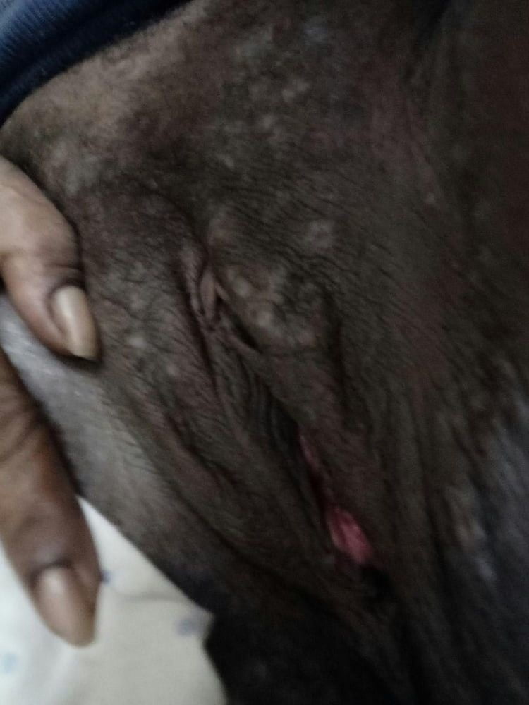 Png 2k20  milfs exposed #93996062