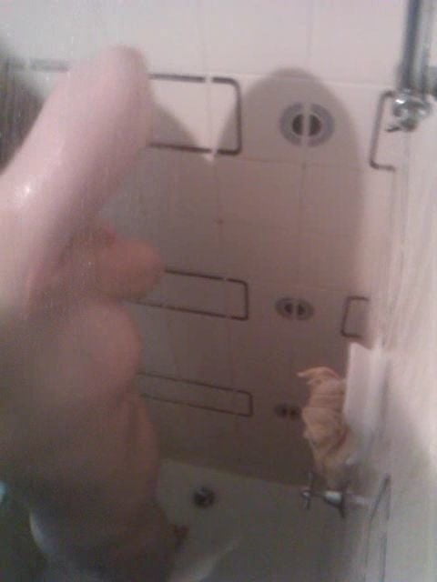 Mature shower time
 #95338997