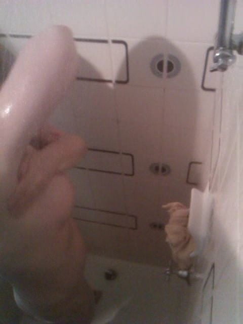 Mature shower time
 #95338998
