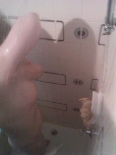 Mature shower time
 #95339027