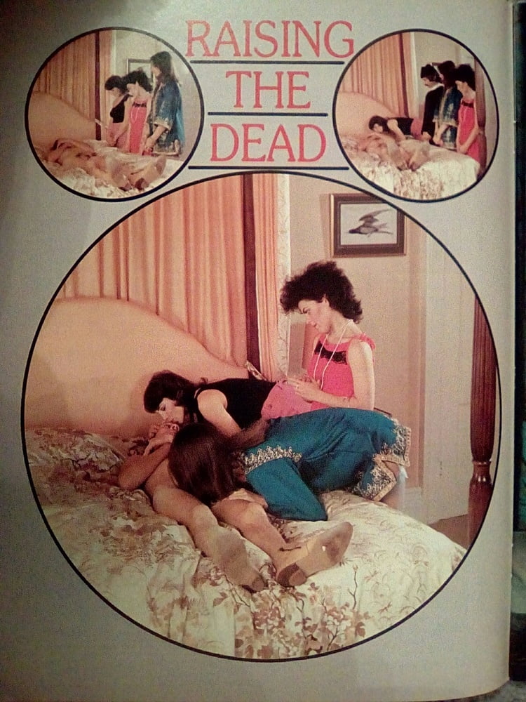 Vintage magazine scan uk Whitehouse digest no.14 #105206116