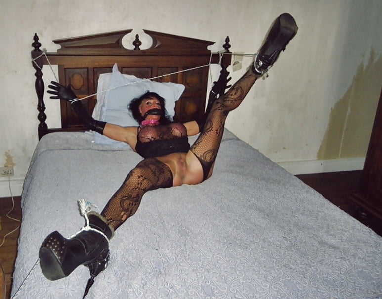 Pijot 211
 #90519995