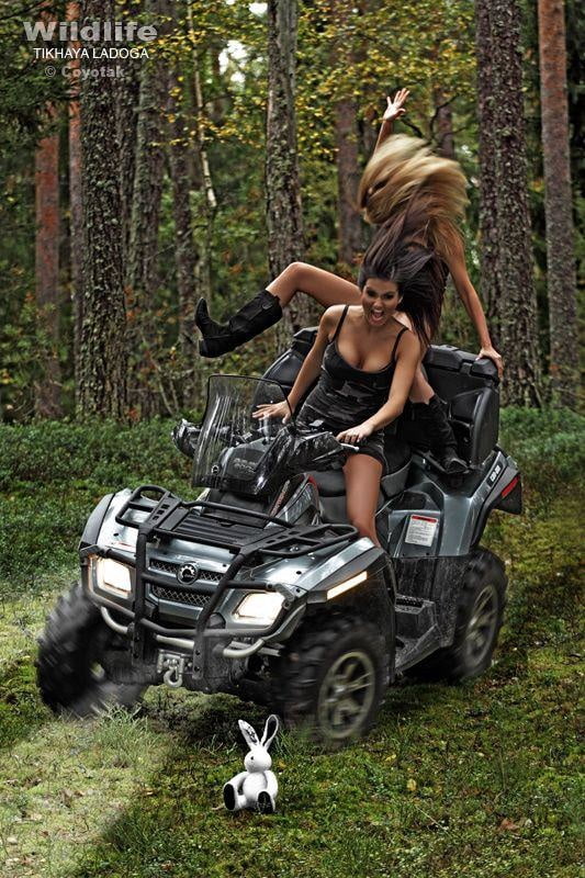 The display of the Motorized. #99390493