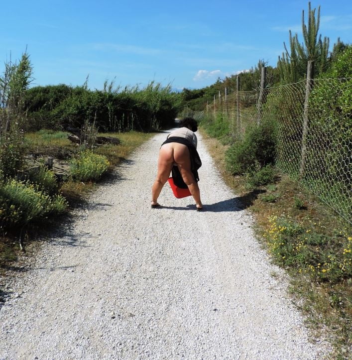 Un peut d'ecxibe
 #99088101