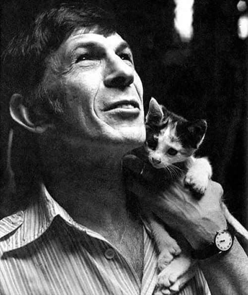 Save a Kind Thought for the Kitty. . . #89508988