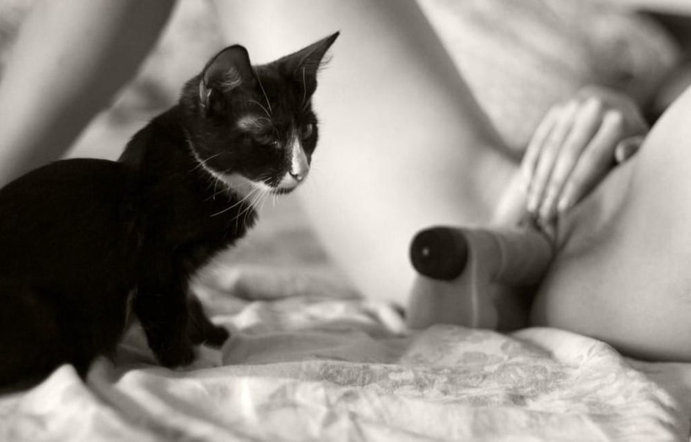 Save a Kind Thought for the Kitty. . . #89508994