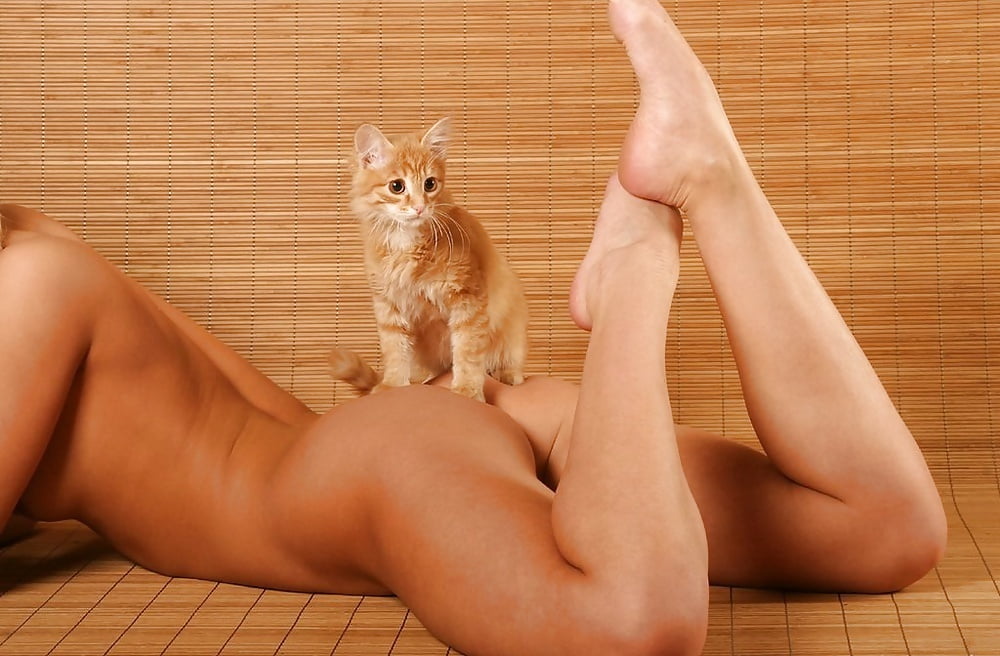 Save a Kind Thought for the Kitty. . . #89509017