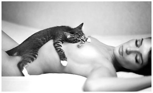 Save a Kind Thought for the Kitty. . . #89509078