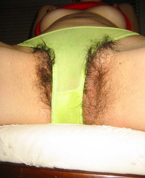 Amateur Hairy and Trimmed Pussy #97254119