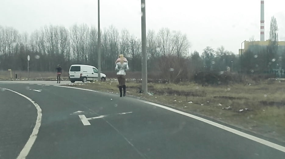 マジャール語の歌声
 #93756045