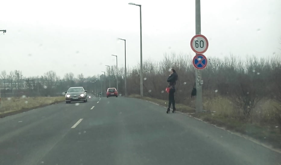 マジャール語の歌声
 #93756046