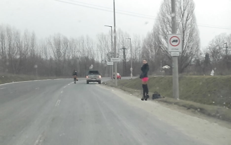 マジャール語の歌声
 #93756047