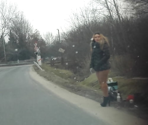 マジャール語の歌声
 #93756048