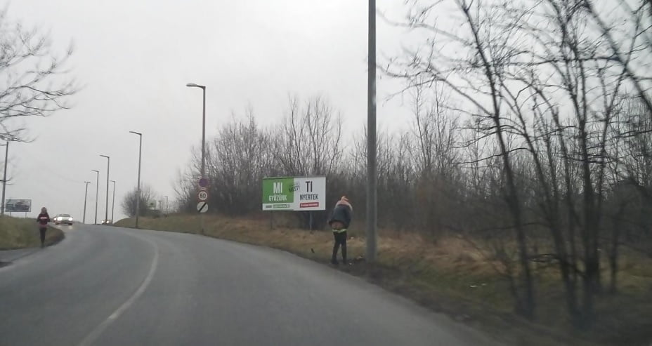 マジャール語の歌声
 #93756049