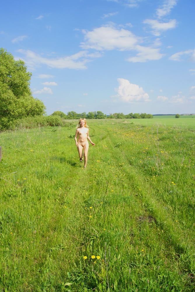 Strip the whore in the field #81697077
