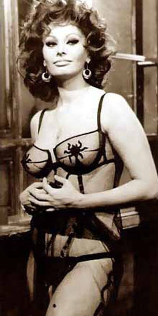 Sophia Loren #101651288