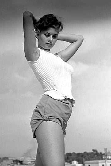 Sophia Loren #101651306