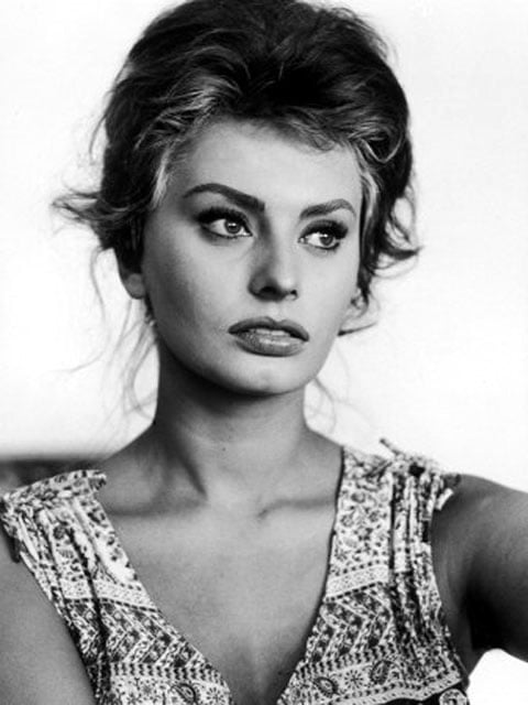 Sophia Loren #101651386