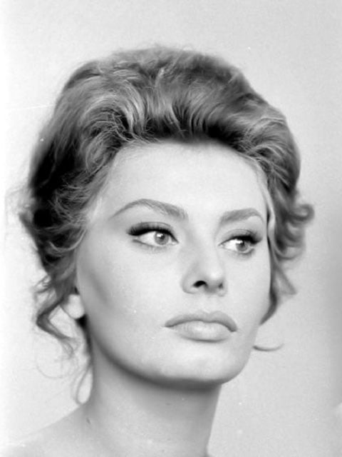Sophia Loren #101651389
