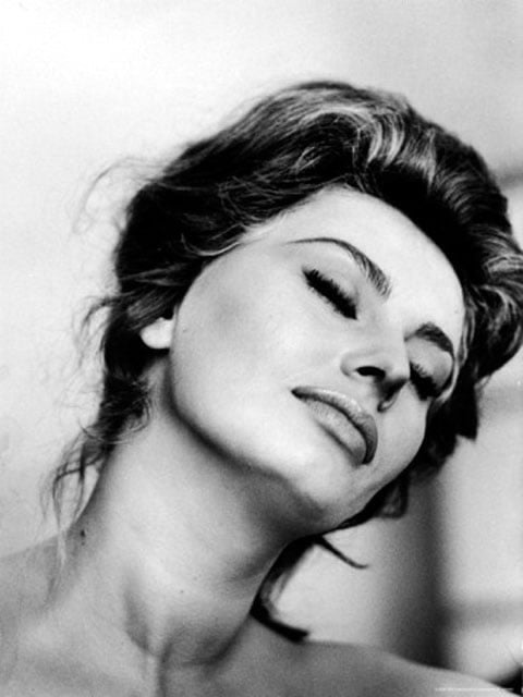 Sophia Loren #101651392