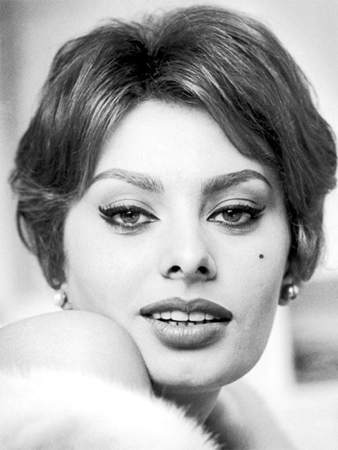 Sophia Loren #101651398