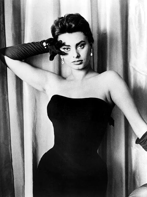 Sophia Loren #101651404
