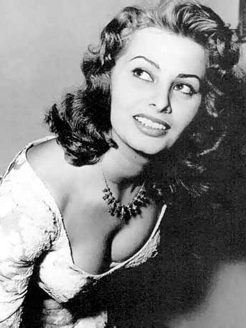 Sophia Loren #101651407