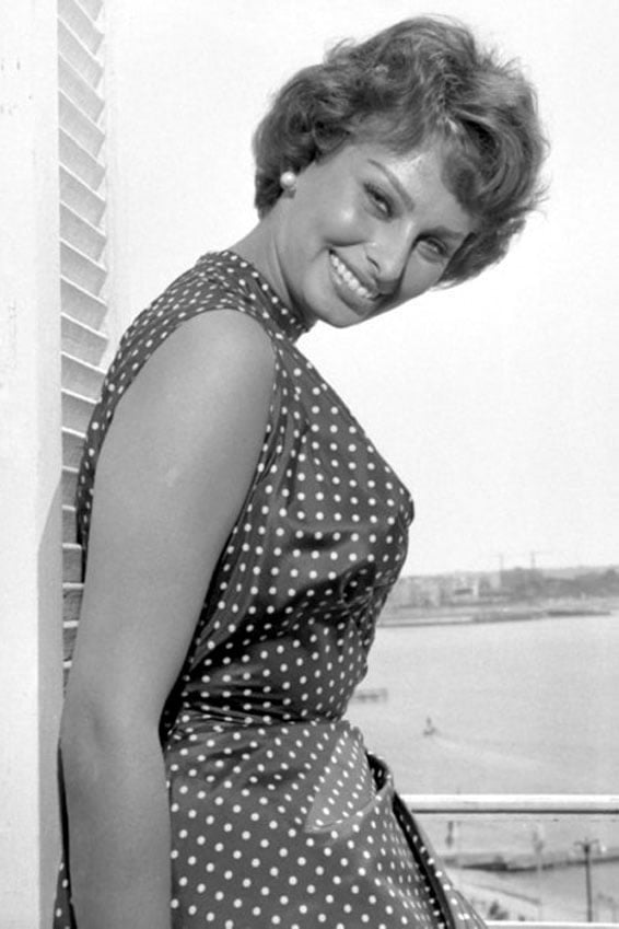 Sophia Loren #101651455