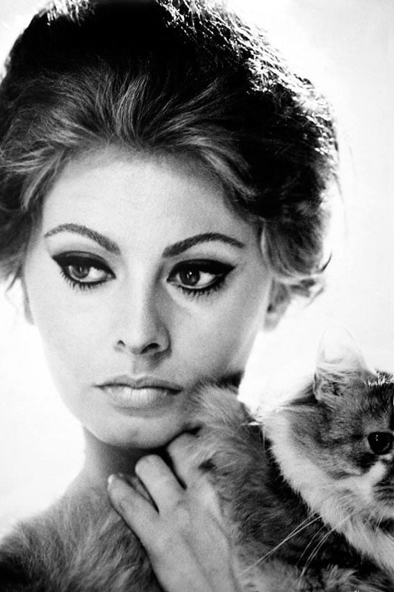 Sophia Loren #101651464