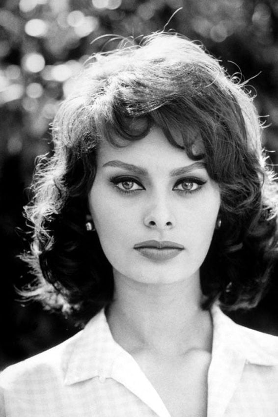 Sophia Loren #101651467