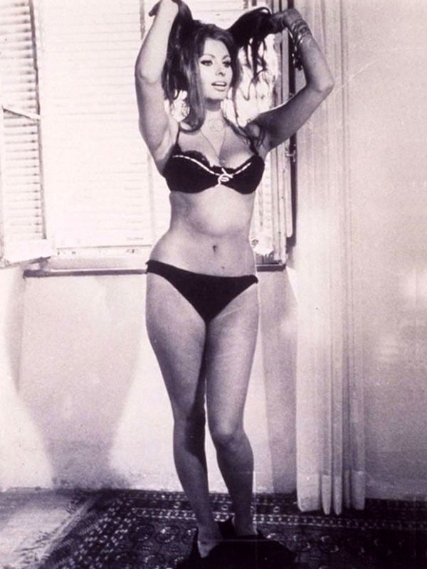 Sophia Loren #101651492