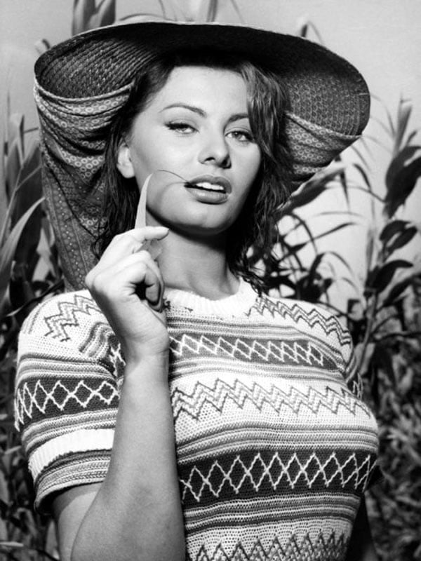 Sophia Loren #101651507