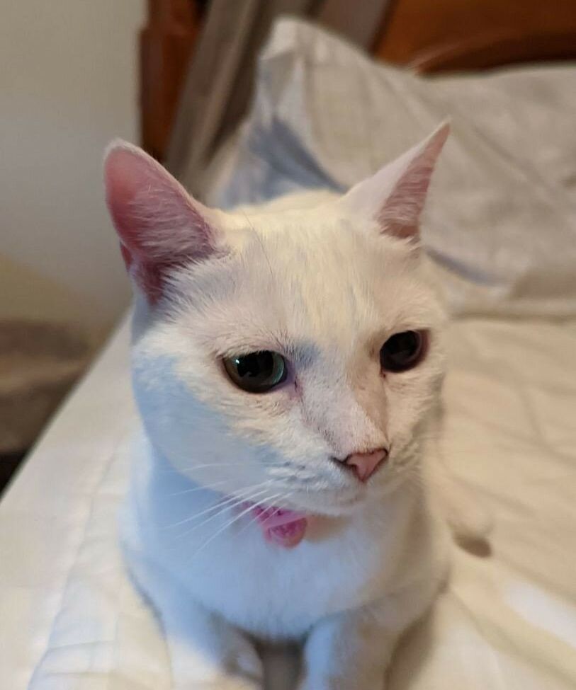 Thiq.Loser desnuda #108427942