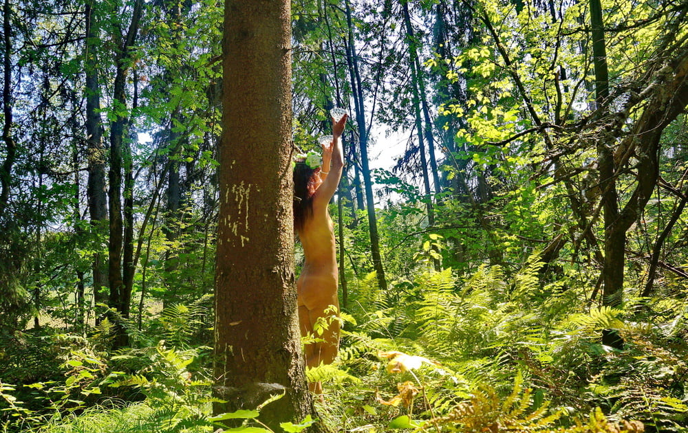 Fée de la forêt
 #98588573