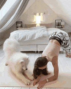 Gifs mega compilación 3
 #98737508