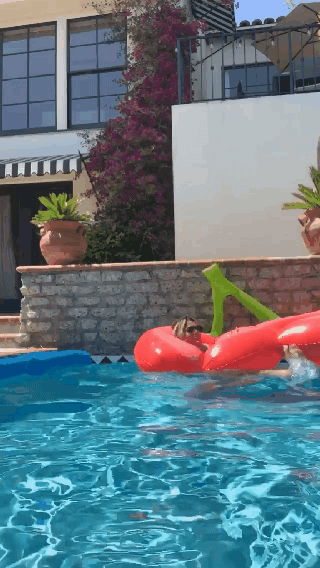 Bebe Rexha pool GIFS #92325558